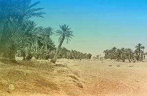 Colomb-bechar 518- oued